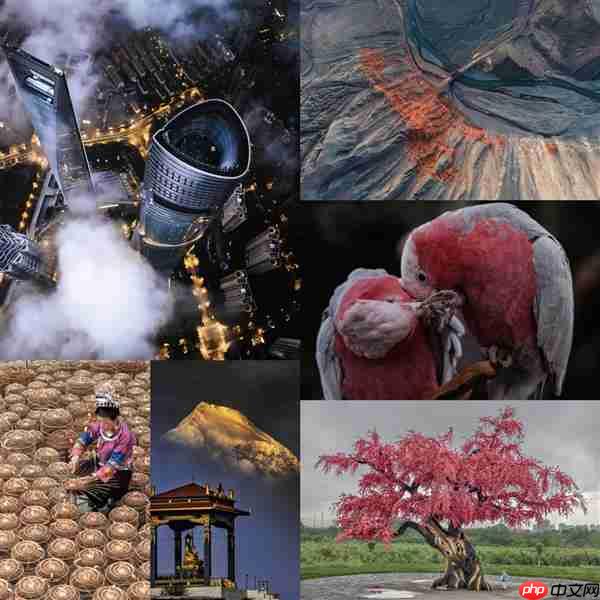 第八届京东影像大赛进入评委评选阶段 超73万幅作品将决出TOP10