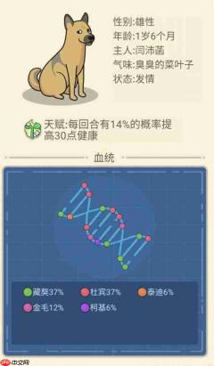 狗生模拟器混血狗怎么得 狗生模拟器配种攻略