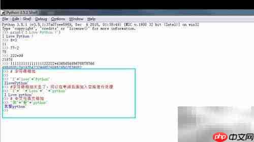 Python DLE打印输出