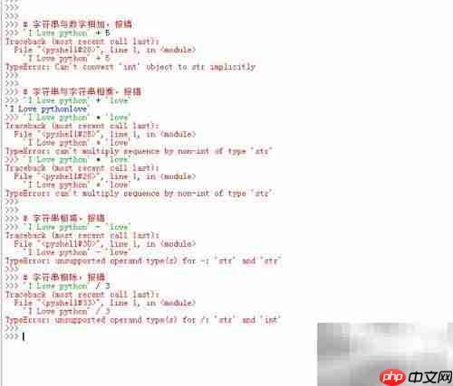 Python DLE打印输出