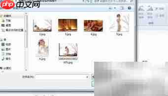 Movie Maker使用入门教程