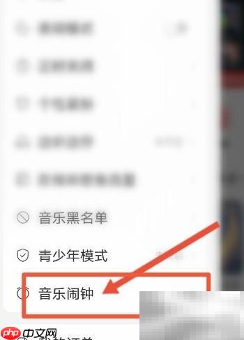 网易云音乐闹钟铃声设置方法
