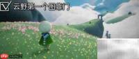光遇3.10大蜡烛位置速览