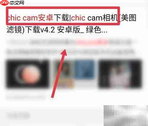 chic cam安卓版下载方法