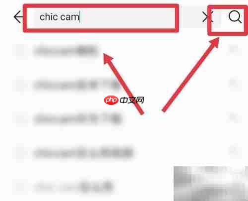 chic cam安卓版下载方法