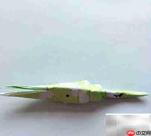美小蝦手工DIY創(chuàng)意制作