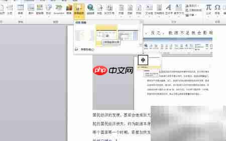 Word2010截图效果技巧
