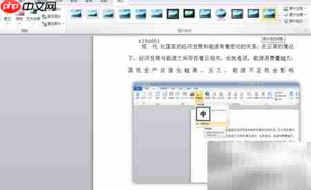 Word2010截图效果技巧