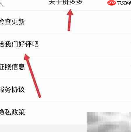 拼多多平台投诉监管指南