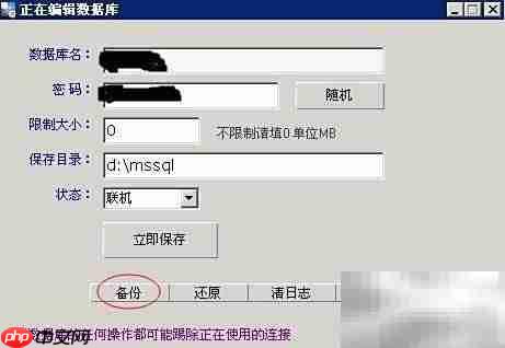 MSSQL数据库备份还原指南