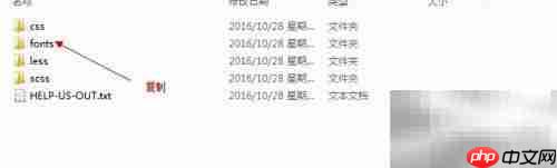 Font Awesome字体图标使用指南