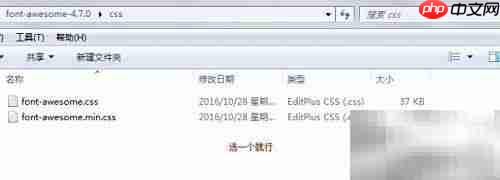 Font Awesome字体图标使用指南