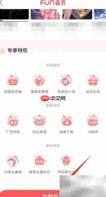 叭嗒FUN会员开通指南