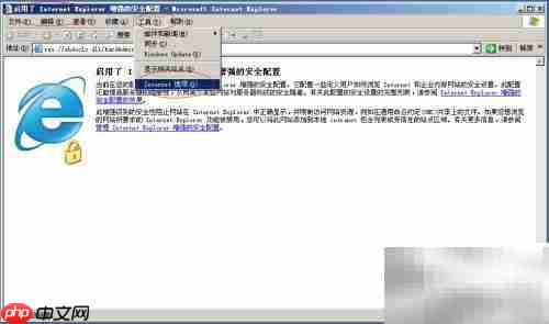 Win Server 2003调IE安全等级