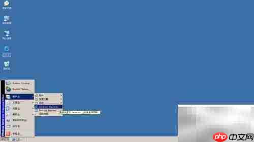 Win Server 2003调IE安全等级