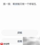 神奇海洋:单呼吸孔鲸类揭秘