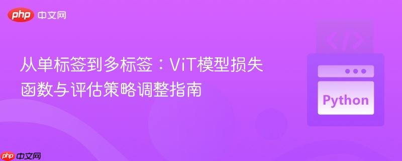 從單標簽到多標簽：ViT模型損失函數(shù)與評估策略調整指南
