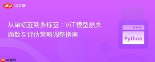 从单标签到多标签:ViT模型损失函数与评估策略调整指南