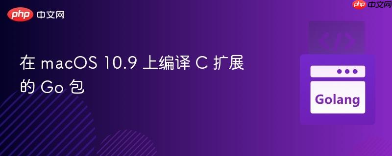 在 macOS 10.9 上编译 C 扩展的 Go 包