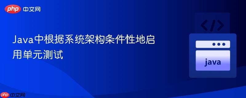 java中根據(jù)系統(tǒng)架構(gòu)條件性地啟用單元測試