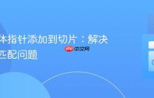 将结构体指针添加到切片：解决类型不匹配问题