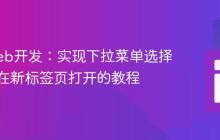 精通Web开发：实现下拉菜单选择链接并在新标签页打开的教程