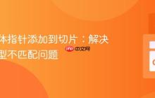 将结构体指针添加到切片：解决接口类型不匹配问题