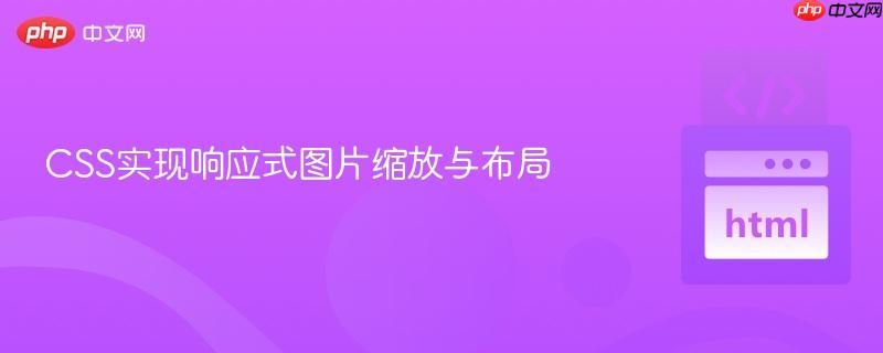 CSS实现响应式图片缩放与布局
