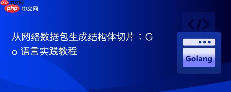 从网络数据包生成结构体切片：Go 语言实践教程