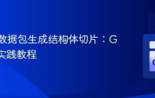 从网络数据包生成结构体切片：Go 语言实践教程