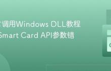 Go语言调用Windows DLL教程：解决Smart Card API参数错误