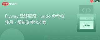 Flyway 迁移回滚：undo 命令的使用、限制及替代方案