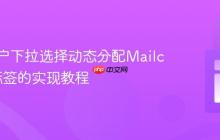 根据用户下拉选择动态分配Mailchimp标签的实现教程