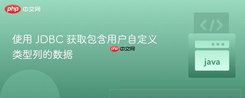 使用 JDBC 获取包含用户自定义类型列的数据