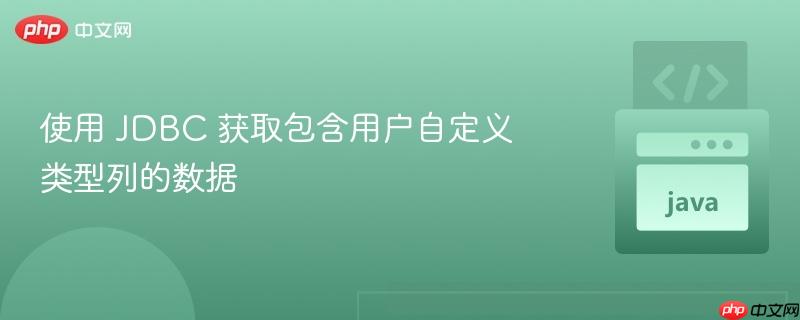 使用 jdbc 获取包含用户自定义类型列的数据