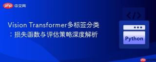 Vision Transformer多标签分类：损失函数与评估策略深度解析