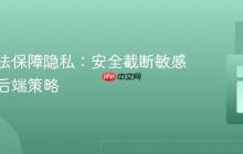 前端无法保障隐私:安全截断敏感数据的后端策略