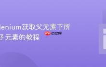 使用Selenium获取父元素下所有特定子元素的教程