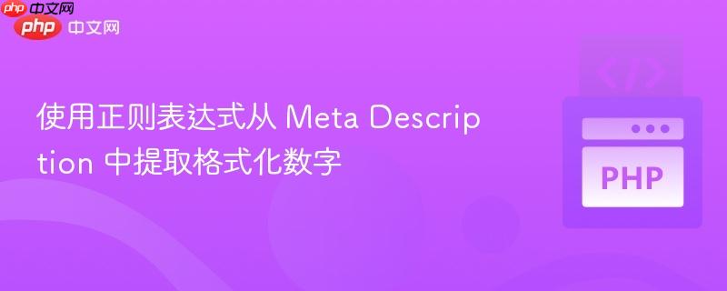 使用正则表达式从 me<em></em>ta des<em></em>cription 中提取格式化数字