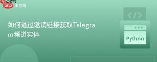 如何通过邀请链接获取Telegram频道实体