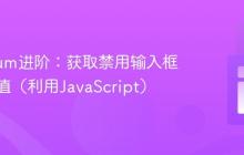 Selenium进阶：获取禁用输入框的真实值（利用JavaScript）
