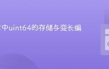 Go语言中uint64的存储与变长编码解析