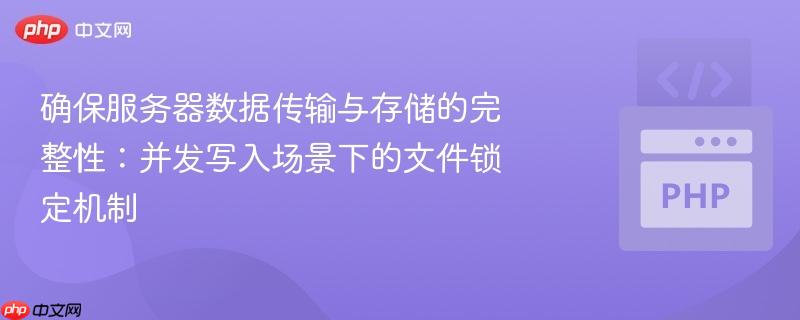 确保服务器数据传输与存储的完整性:并发写入场景下的文件锁定机制