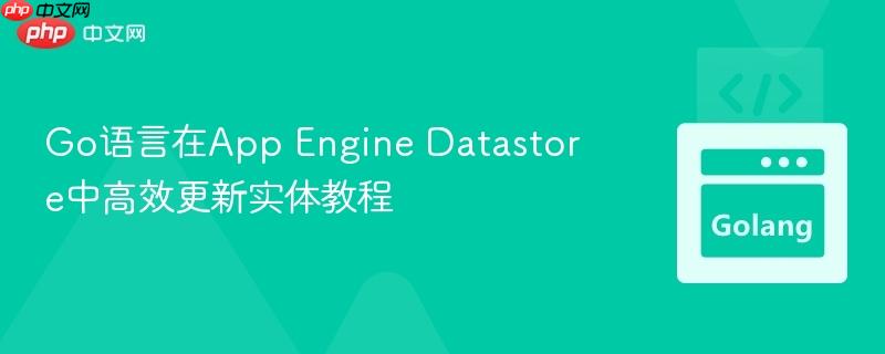 Go语言在App Engine Datastore中高效更新实体教程