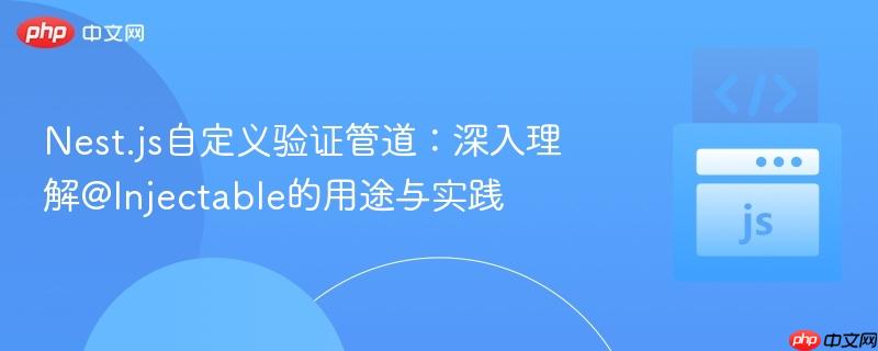 Nest.js自定义验证管道：深入理解@Injectable的用途与实践

