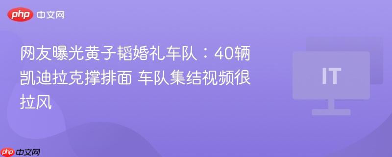 网友曝光黄子韬婚礼车队:40辆凯迪拉克撑排面 车队集结视频很拉风