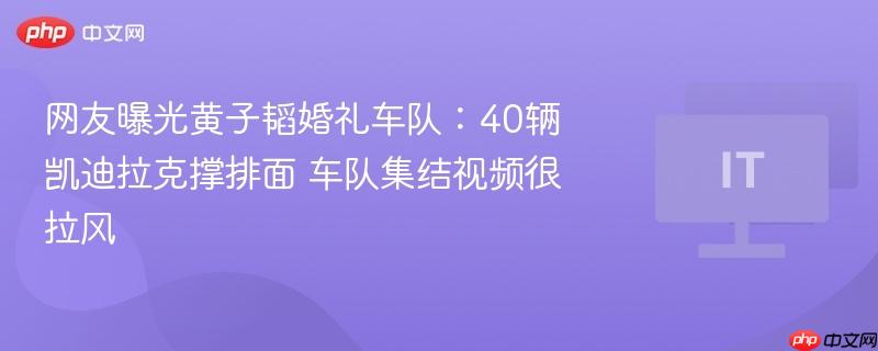 网友曝光黄子韬婚礼车队:40辆凯迪拉克撑排面 车队集结视频很拉风