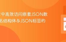 Go语言中高效访问嵌套JSON数据：匿名结构体与JSON标签的应用
