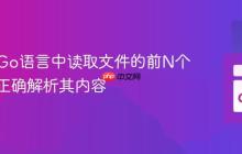 如何在Go语言中读取文件的前N个字节并正确解析其内容