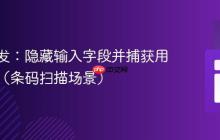 前端开发:隐藏输入字段并捕获用户输入(条码扫描场景)